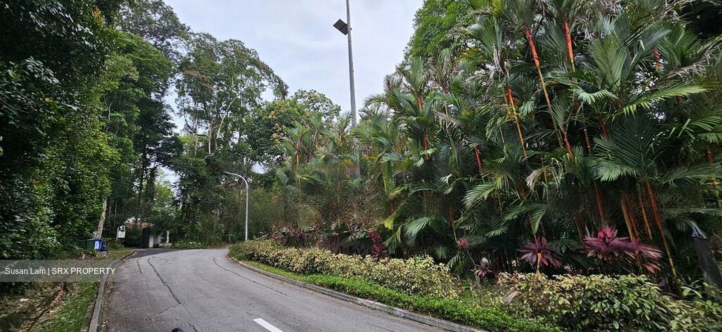 Mount Pleasant Road (D11), Detached #485876931